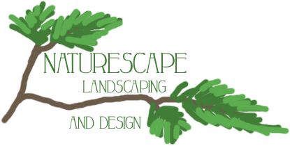 NatureScape Logo