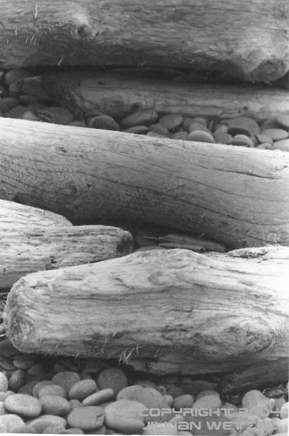 Beach logs and rocks