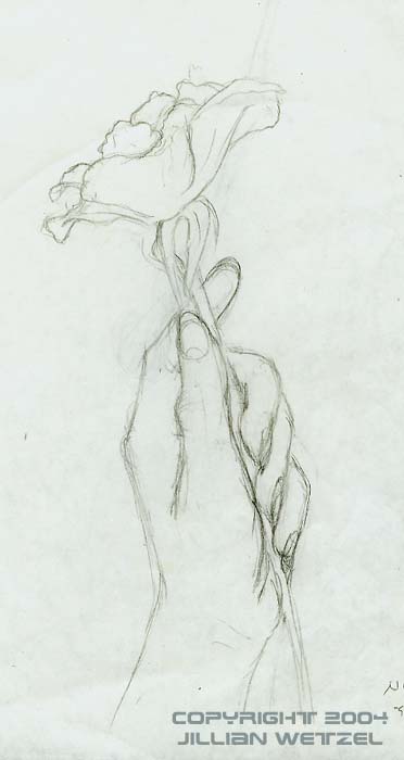 hand holding rose